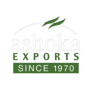 ashoka-logo-new